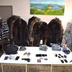 27102021kastoriagounes