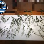 02112021kozani001