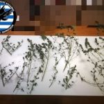 02112021kozani001s