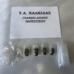 23112021xalkidanarksillipsi