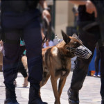 18052022epixmonastiraki002