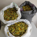 24052022aromatikofytokastoria