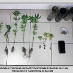07062022narkotlarisa