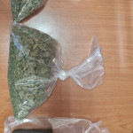 26052022voreio001