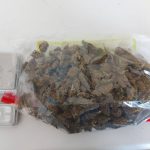 03082022ionianark001
