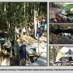 04082022fyteiesthessalia003