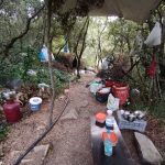 05082022messinia002
