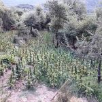 05082022messinia004