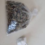 08082022ionia001