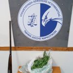 29072022hpeirosfyteia004
