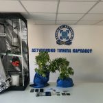 SYLLHPSH NARKOTIKA KALLIERGEIA KARPATHOS F
