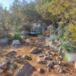 10092024 nark argolida1
