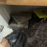 08112024dutikiattiki (4)